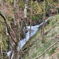 2025 04 17 rando ajoux 6