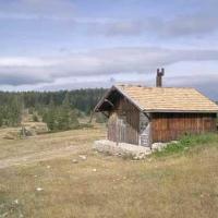 Cabane