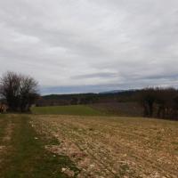 Dscn2403