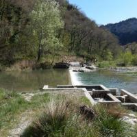 Dscn2604
