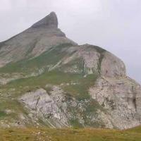 Falaise