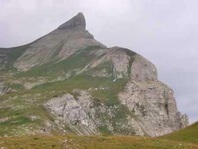 Falaise