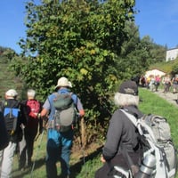 Img 0480