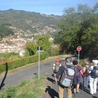 Img 0528