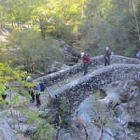 Img 0588