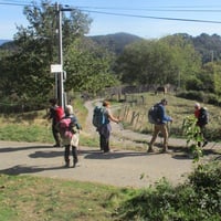 Img 0634