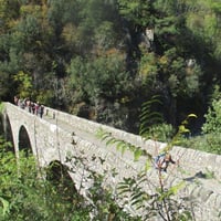 Img 0651