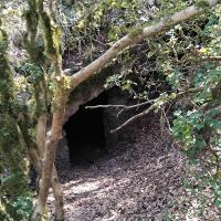 Img 20250410 entee de la grotte baume souris