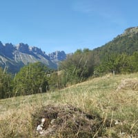 Img 20260903 152715