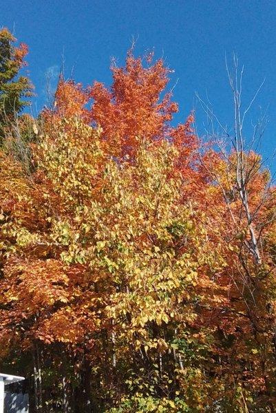Img 20261010 wa0003