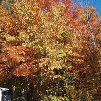 Img 20261010 wa0003