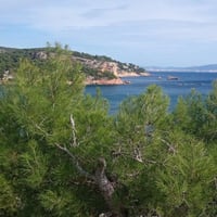 Img 20261011 145255
