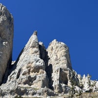 Img 8574
