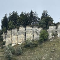 Img 8620