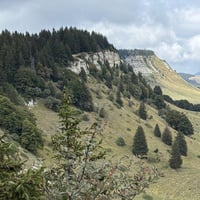 Img 8622