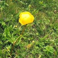 Img20250605143335