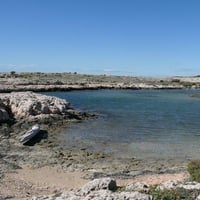 P1020373